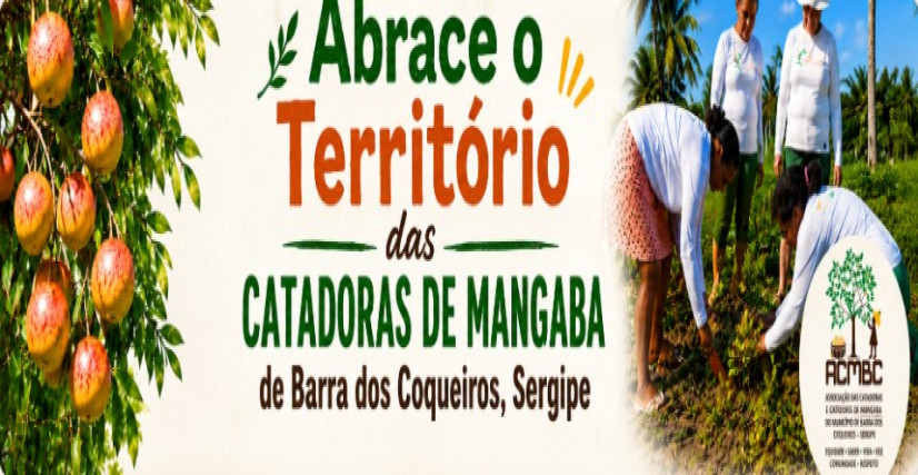 Proteja os direitos territoriais das catadoras de mangaba da Barra dos Coqueiros