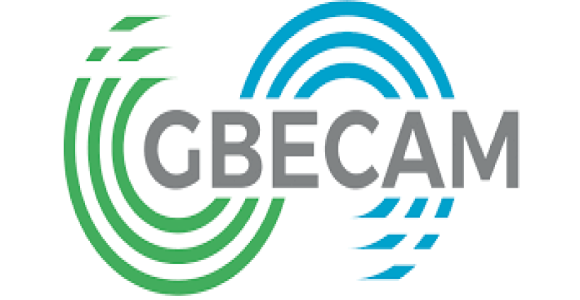 Apoie o GBECAM: ciência, cuidado e impacto