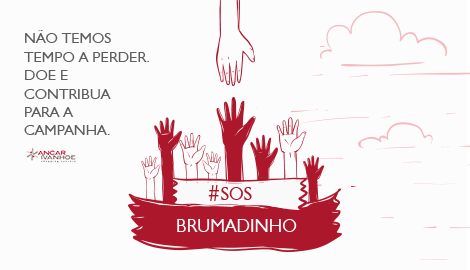 #SOSBRUMADINHO