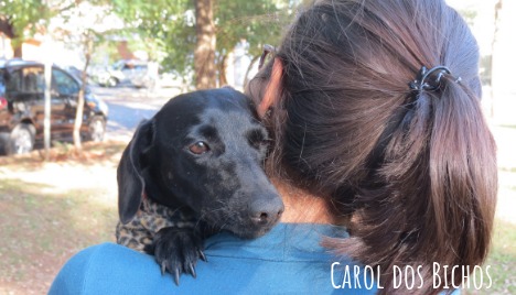 Carol dos Bichos