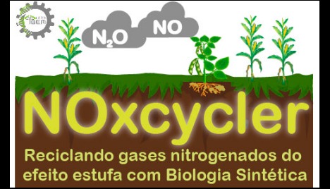 Cientistas brasileiros vão ao iGEM!