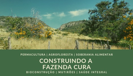 Construindo a Fazenda Cura