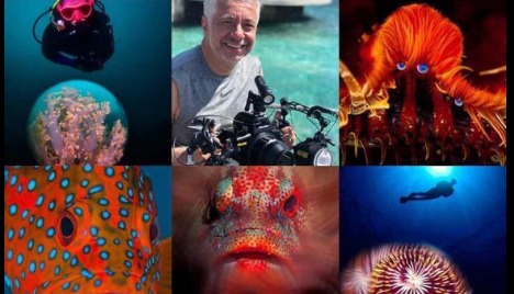 CVI-Rio promove exposição no AquaRio