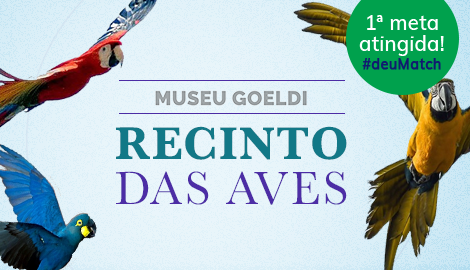 Reforma do Recinto das Aves Museu Goeldi
