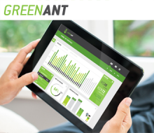GreenAnt