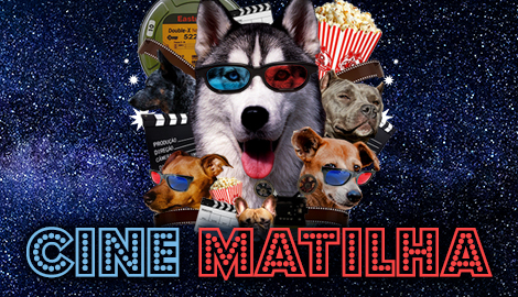 Vamos reformar o Cine Matilha