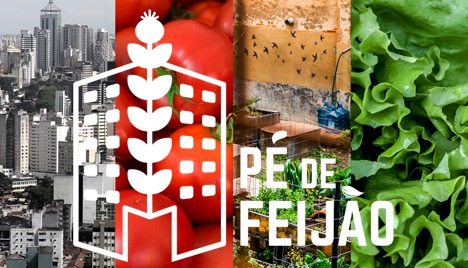 Pé de Feijão no Capão Redondo