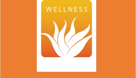 Linkedin Wellness 