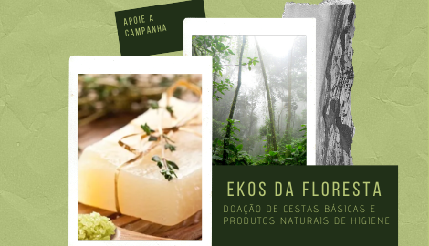 [AC] Ekos da floresta