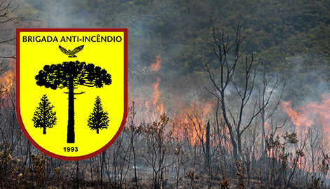 Brigada Matutu - Prevenção e combate a incêndios florestais 