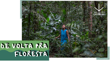 De volta para a floresta