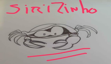 Publicação de um livro infantil ilustrado (primeiro)