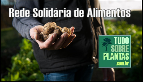Rede Solidária de Alimentos TSP