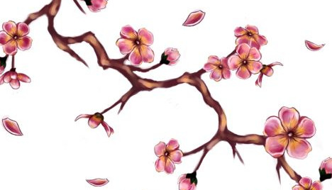 Shiatsu no Hanami