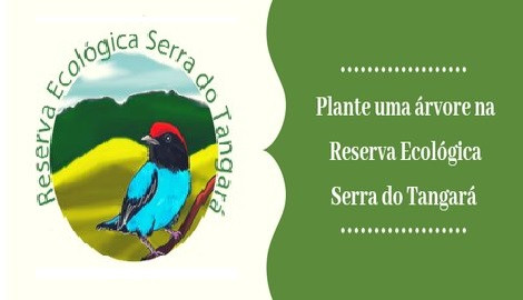 Plante uma árvore na Reserva Ecológica Serra do Tangará