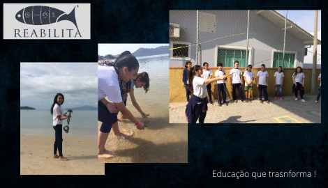 Programa - REABILITA