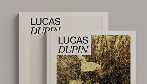 Lucas Dupin | A parte pelo todo