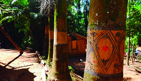 Apoio as famílias indígenas da Reserva Guarani Rio Silveiras