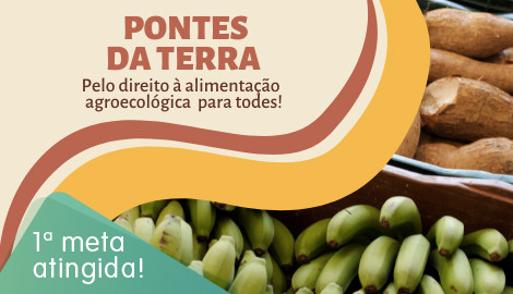 Pontes da Terra: pelo direito à alimentação agroecológica para todes