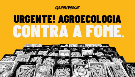 Urgente! Agroecologia contra a fome