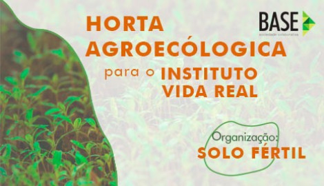 Horta Urbana no Instituto Vida Real - Favela da Maré (RJ)