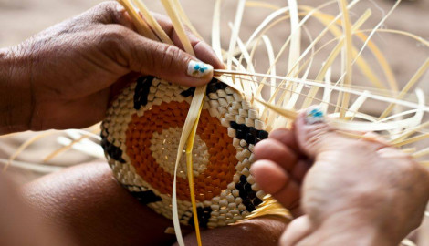 Viabilizar as atividades da Turiarte Amazônia