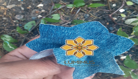 [SP] Lumimus - Ajude, reuse, transforme!