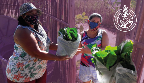 Projeto de Segurança Alimentar Comunitária