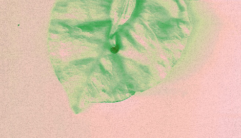 METAMORFOSE |  Curta-metragem LGBTQIA+