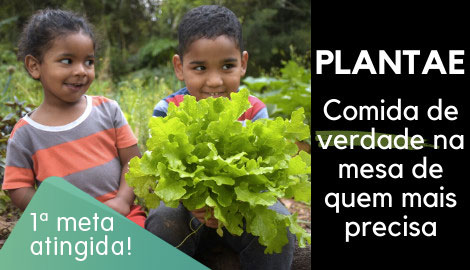 PLANTAE: CULTIVO COMUNITÁRIO!