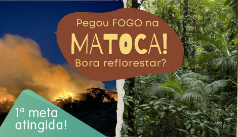 Pegou fogo na matoca! Bora Regenerar?