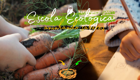 Escola Ecológica: Aninhando os saberes