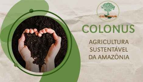 Colonus: Agricultura Sustentável da Amazônia
