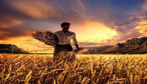 NOS AJUDE A REERGUER LAVRAS E REGIAO