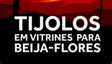 Livro Tijolos em Vitrines Para Beija-flores de Adriano Chastel.
