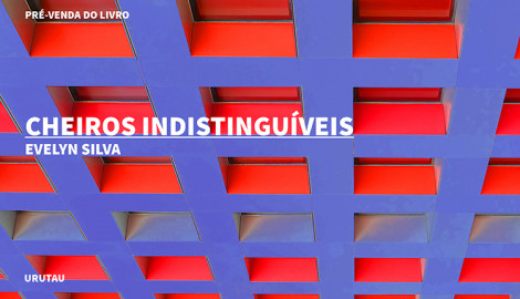 "CHEIROS INDISTINGUÍVEIS", DE EVELYN SILVA