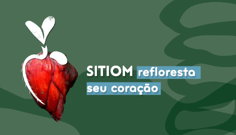 Refloresta a Educação