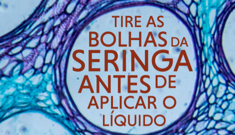 Livro tire as bolhas da seringa antes de aplicar o líquido de Juno Cipolla