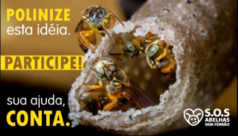 SOS Abelhas Sem Ferrão