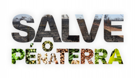 Salve o Pé Na Terra!