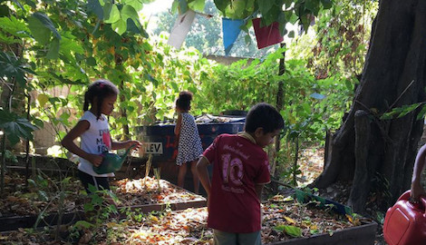 Providência Agroecológica