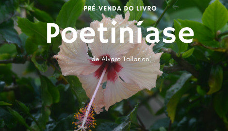Livro Poetiníase de Alvaro Tallarico