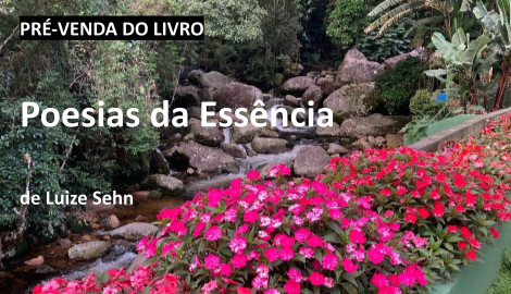 Livro Poesias da Essência de Luize Sehn