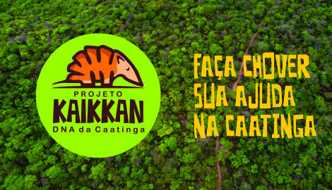 Kaikkan - DNA da Caatinga