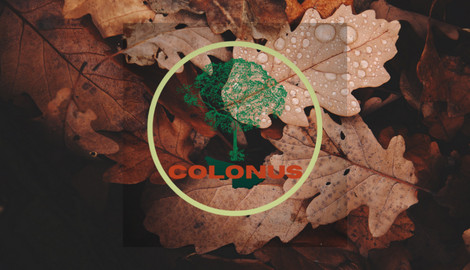 Colonus: Agricultura Sustentável da Amazônia