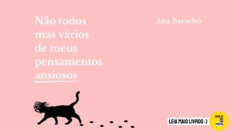 Livro Não todos mas vários de meus pensamentos ansiosos de Ana Baracho