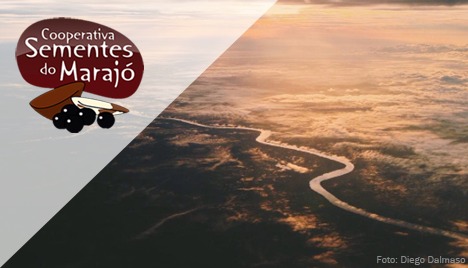 Sementes do Marajó - Vamos navegar?