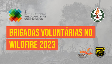Brigadas Voluntárias no Wildfire 2023