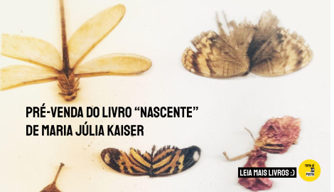 Livro Nascente de Maria Júlia Kaiser