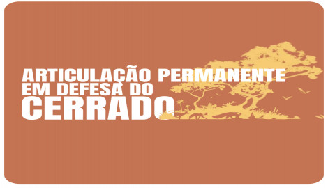 Audiência Pública Popular em Defesa do Cerrado